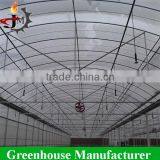 Reinforced Plastic Film Wide Multi Span Greenhouse thumbnail-3