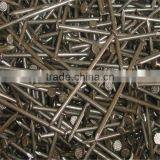 1/2"-13" High Quality Common Nails/ Stainless Steel Nail thumbnail-2