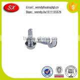 Self Drilling Screw thumbnail-1