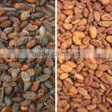 Best Selling Cacao Beans Color Sorter Price thumbnail-2