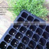 Custom High Quality Black Shining 98 Cell Plastic Nursery Pots Seed Trays for Flower Propagation thumbnail-6
