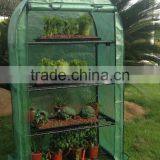 Mini Flowerhouse thumbnail-1