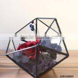 Geometric Glass Container for Plant thumbnail-1