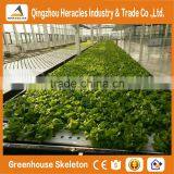 Heracles 2016 Hot Sale Flower Pot Vertical Garden Green Wall With Hydroponics System thumbnail-1