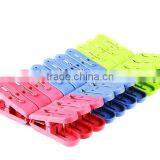 Cloth Peg thumbnail-1