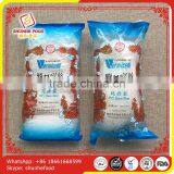 Certificated Bean Vermicelli 250g Maker thumbnail-5