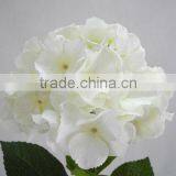 Foshan Wholesale Artificial White Hydrangea Flowers 27535M