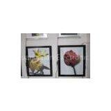 Slim Crystal A4 Magnetic Led Light Box For Shopping Mall Advertising