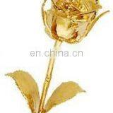 Gold plated rose