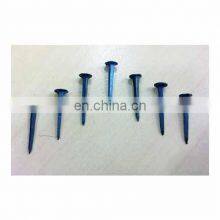 Hot Sales High Quality Shoe Tacks Nails thumbnail-5