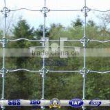 Low Carbon Steel Hinge Joint Cattle Fence thumbnail-1