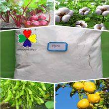 Agrochemicals Dcpta for Plant Rooting Dcpta 98TC CAS 65202-07-5 thumbnail-2