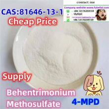 CAS ：81646-13-1 Cheap Price Supply B.ehentri.moni.um Met.hosu.lfa.te 99% powder FUBEILAI 5-a.pb Wicker Me:lilylilyli Skype： live:.cid.264aa8ac1bcfe93e WHATSAPP:+86 13176359159