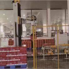 Column Palletizer for 70kg Carton Stacking Palletizing Machine Automatic Robot Palletizer thumbnail-2