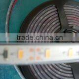 IP67 Strip 5630 Led Strip thumbnail-1