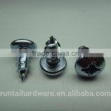 China Factory Fasteners Screw Hidden Cemera