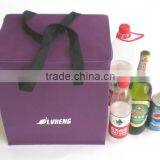 shopping non woven cooler bag