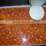 Cheap Canned Red Kidney Beans thumbnail-1