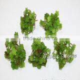 Natural Look Wholesale Price Artificial Tropical Plant Plastic Material Succulent Plant for Green Wall thumbnail-2