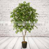 5 Feet Artificial Ficus Tree Plastic Tree For Restaurant Decoration thumbnail-3