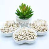 White Kidney Beans (Navy Type) thumbnail-4