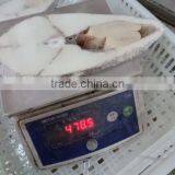 Oil Fish Steaks thumbnail-1