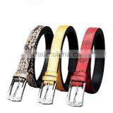Jranter Colorful Genuine Python Leather Women Belt Stainless Steel Buckle