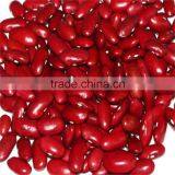 Red Kideny Bean thumbnail-1