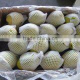 Super Shandong Pear Packed in Carton thumbnail-4
