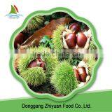 2016 Chinese Nuts Best Sale Wholesale Common Frozen Chestnut thumbnail-6
