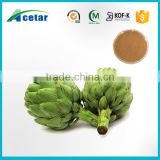 Best selling products ph artichoke lamp powder extract