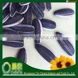 2014 Crop (24/64 280pcs/50GM) Bulk 5009 American Sunflower Seeds Chinese Supplier For Human Consumption