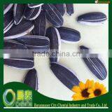 2014 Crop (24/64 280pcs/50GM) Bulk 5009 American Sunflower Seeds Chinese Supplier For Human Consumption thumbnail-1