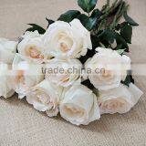 Supply Fresh Cut Flower Rose From Flower Base in Kingming thumbnail-5