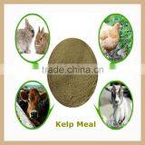 Seaweed Powder Type and Cattle,Aquatic,Horse,Chicken,Dog,Pig,Fish Use Seaweed Kelp Meal thumbnail-4