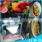 High Efficiency Cold Press Juicer Orange Juicer thumbnail-1