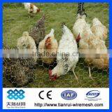 Chicken Wire Mesh/hexagonal Wire Netting/hexagonal Wire Mesh thumbnail-6
