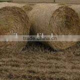 Best Price Tractor PTO Use Hay Round Baler Straw Baler Machine Grass Round Baler thumbnail-2