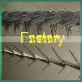 Security Galvanized Anti-Climb Wall Spike thumbnail-2