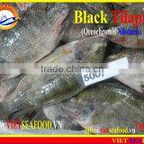 BLACK TILAPIA WHOLE ROUND thumbnail-2