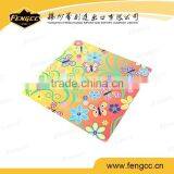Promotional PP Place Mat,dinner Mat thumbnail-5