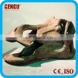 Museum High Simulation Artificial Dinosaur Skull Model For Sale
