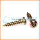 China Supplier Sus304 Anti-theft Screw thumbnail-2