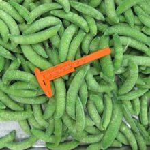 Frozen Sugar Snap Pea Bulk thumbnail-3