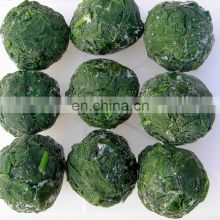 2021 Fresh Spinach IQF Frozen Spinach Ball
