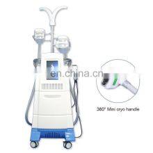 2021 Big Discount Fat Freeze Cryolipolysis Weight Loss Machine Cryolipolysis Handpieces Body Contouring Equipment thumbnail-4