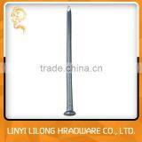 Galvanized Grooved Concrete Nail With High Quality thumbnail-1