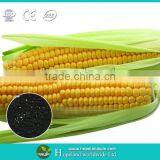 Agricutural Staw Decay Agent thumbnail-6