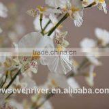 Blasting Models Available!High-grade Yellow Dancing Orchid Gao Zhi Silk Flowers Wholesale Simulation Flower Household Ground Ado thumbnail-5