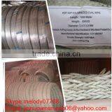 Galvanized Wire for Grape Trellis